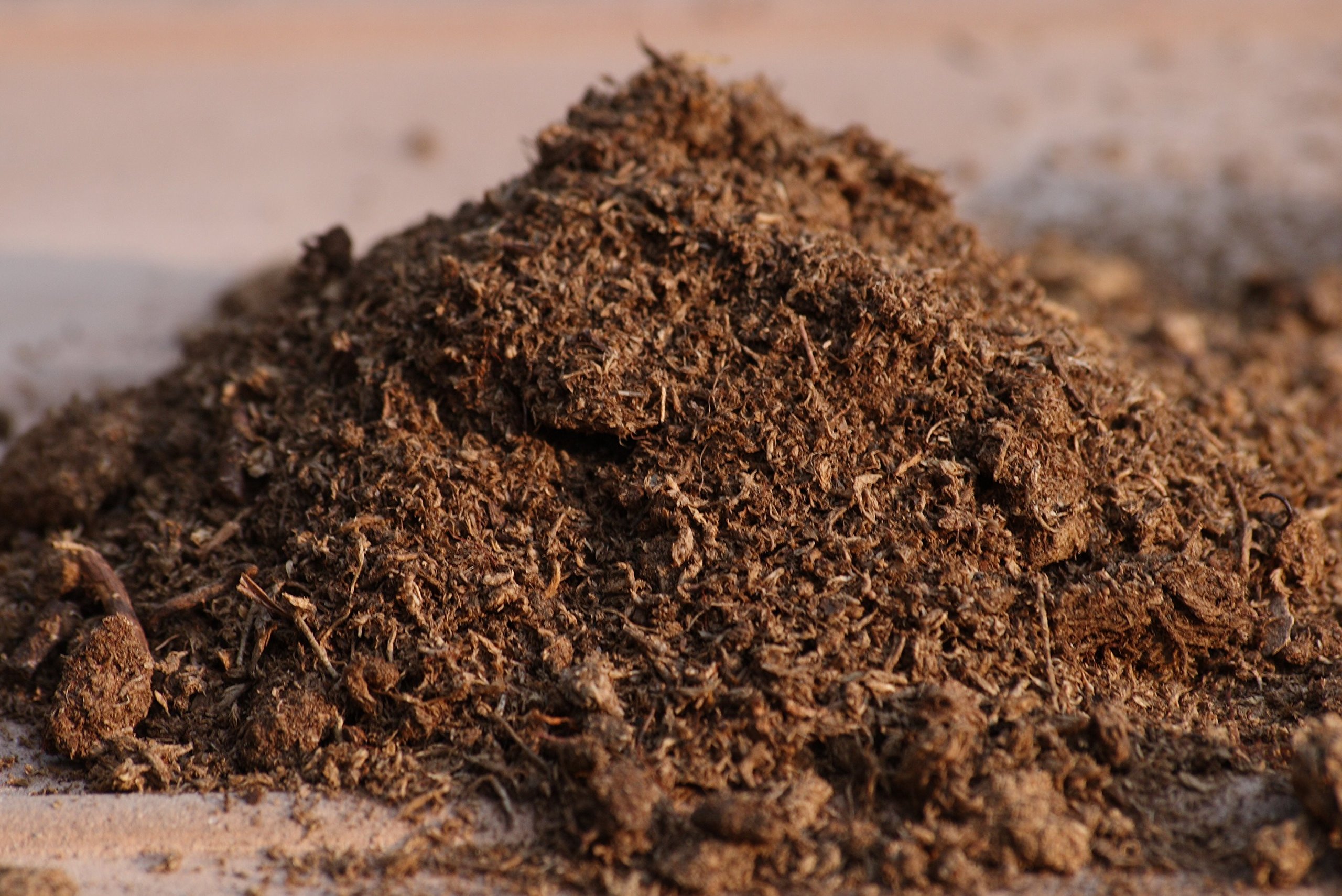 Sphagnum Peat Moss for Gardening (1 Quart) Buy Online in Saudi Arabia