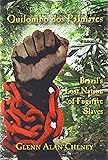 Slavery S Exiles The Story Of The American Maroons