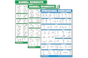 Palace Learning 3 Pack - Barbell Workout Posters Volume 1 & 2 + Stretching Exercise Chart - Set of 3 Posters