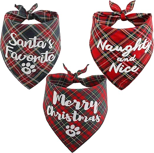 american molossus price