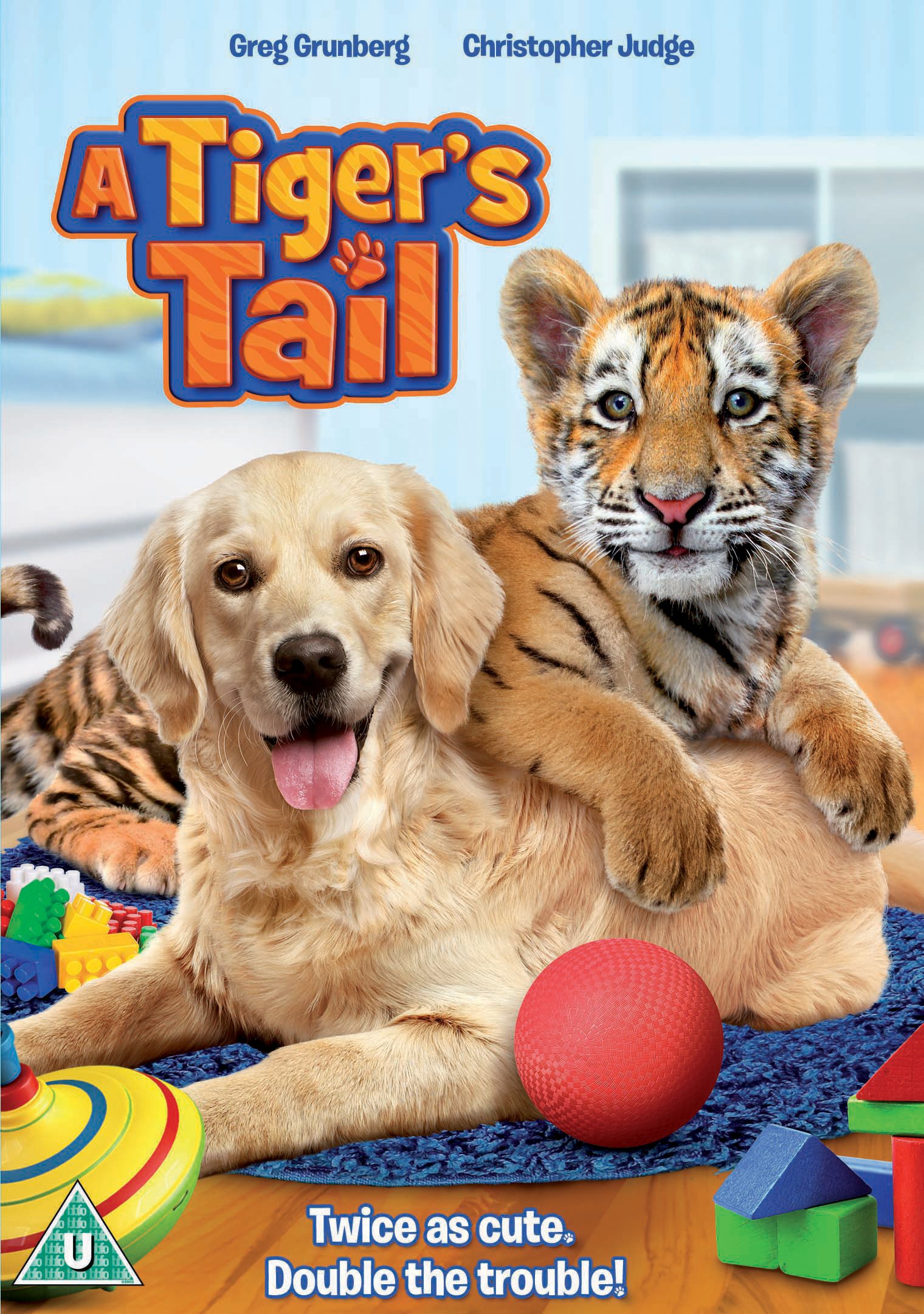 A Tiger's Tail [DVD] [2017]