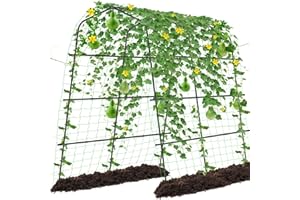 WLLEYAY Garden Arch Trellis for Climbing Plants Outdoor, 7.2 ft Tall Large Walkway Trellis,Yard Lawn Garden Metal Plants Support Archway Arbor Tunnel for Vegetables Plant Cucumber Trellis for Garden Raised