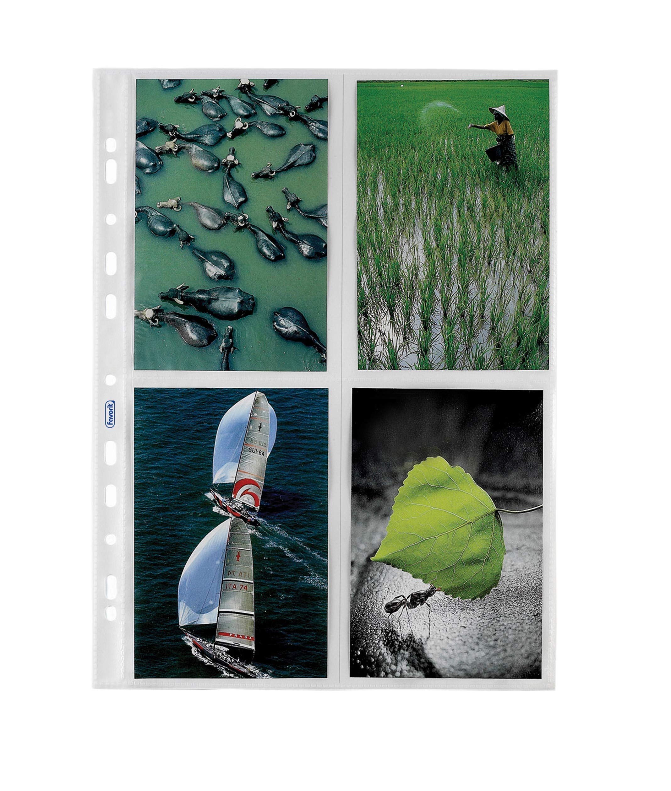 Favorit Universal Photo Envelopes, 15 x 4 cm, 10 Pieces, Smooth Finish, Transparent, Gummed Closure, for Archiving & Preserving