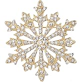 EVER FAITH Women's Austrian Crystal Winter Snowflake Brooch