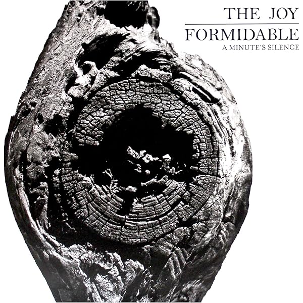 JOY FORMIDABLE - Big Roar - Amazon.com Music