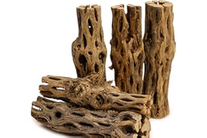 NILOCG AQUATICS NApremium Natural Cholla Wood | 5 Pieces of 5-6" Long Natural Cholla Wood for Aquarium Decoration, Hermit Crabs, Shrimp