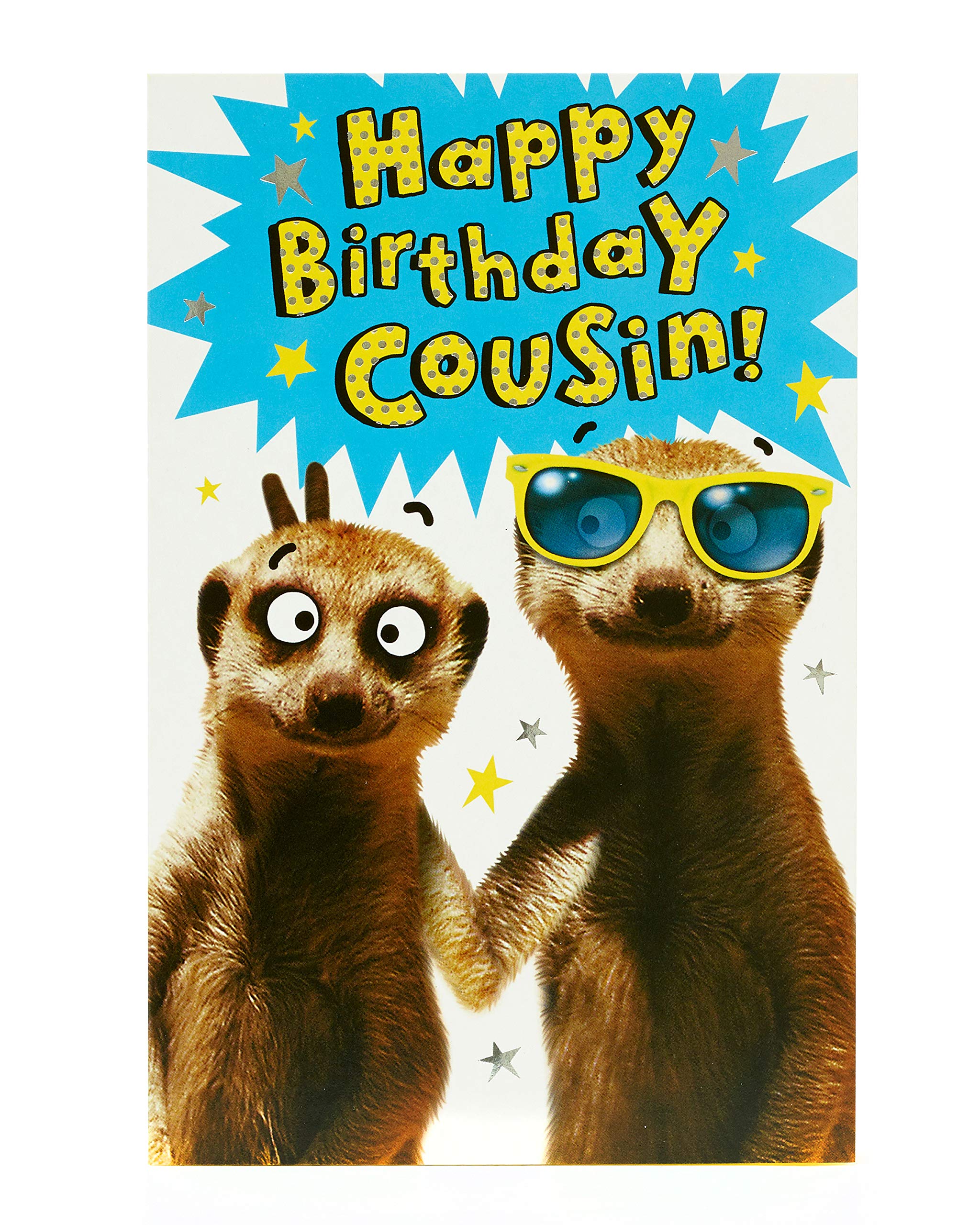 UK Greetings Cousin Birthday Card - Boys Birthday Card - Funny Birthday Card - Meerkat Design