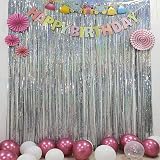 Silver Foil Curtain Backdrop 2 Pack 1x2.5m Tinsel Fringe Decor view 5