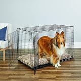 New World 48-Inch Double Door Dog Crate Extra Large 41-50 kg view 2