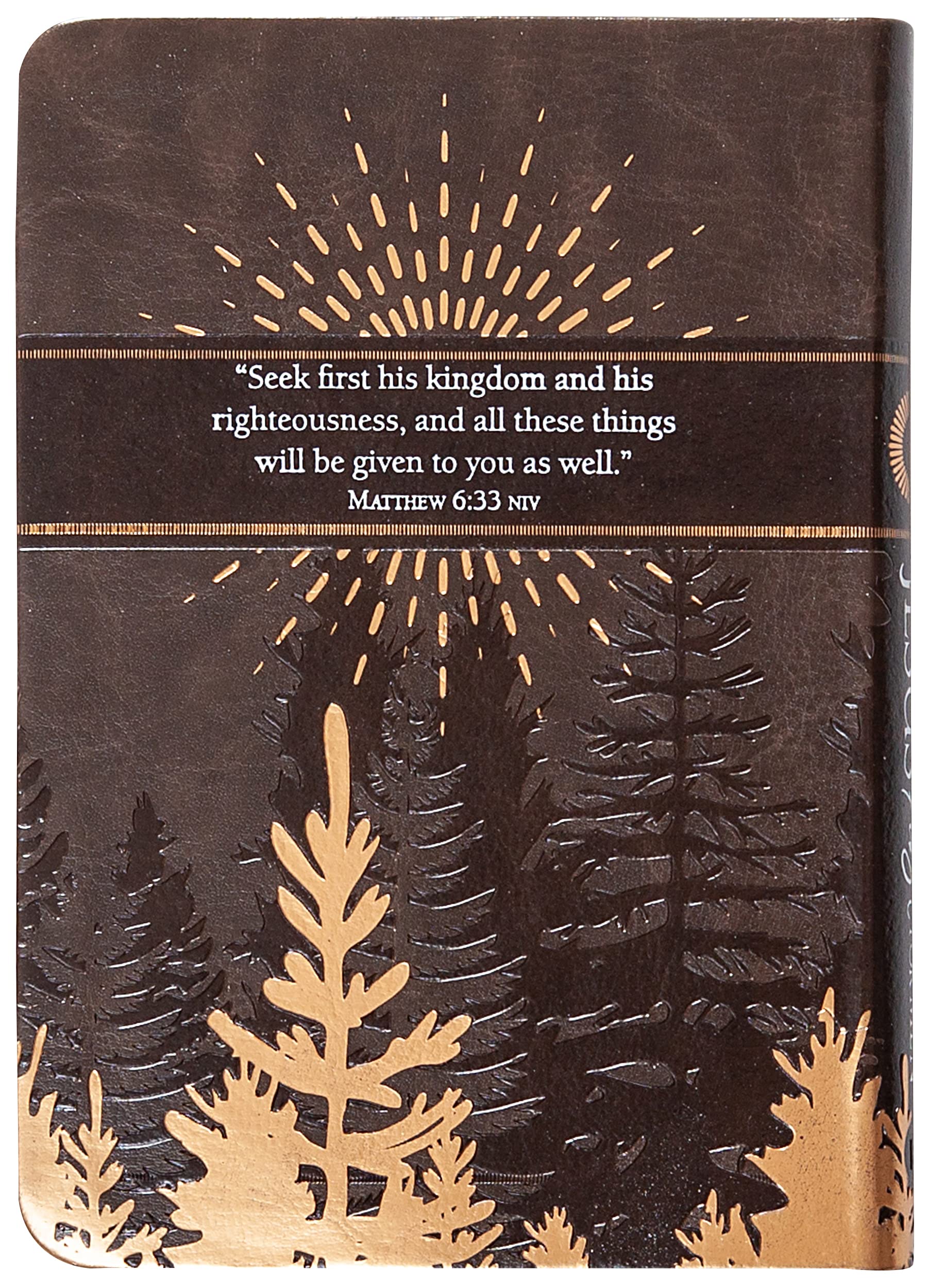 Jesus First for Men: 365 Devotions to Start Your Day Jesus First for Men: 365 Devotions to Start Your Day Imitation Leather Kindle Paperback