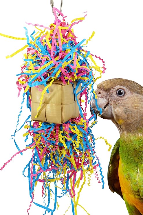 cockatoo bird toys