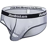 ZAIGGUT Mens Sexy Briefs Low Rise See Through Underwear for Men Breathable Mesh Sheer Lace