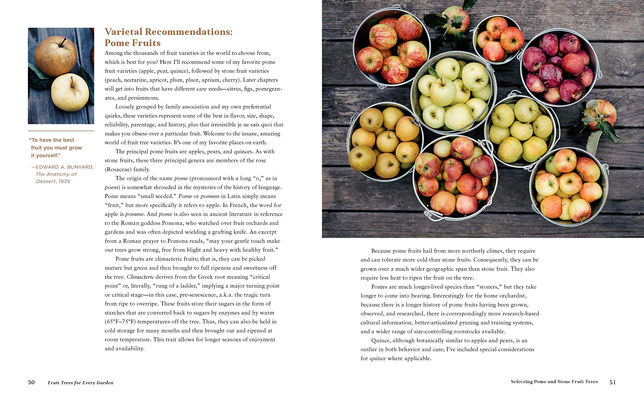 Fruit Trees for Every Garden: An Organic Approach to Growing Apples, Pears, Peaches, Plums, Citrus, and More Fruit Trees for Every Garden: An Organic Approach to Growing Apples, Pears, Peaches, Plums, Citrus, and More Fruit Trees for Every Garden: An Organic Approach to Growing Apples, Pears, Peaches, Plums, Citrus, and More Paperback Kindle