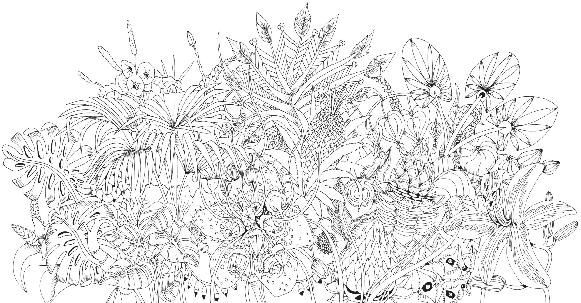 Johanna basford coloring book, Dover coloring pages