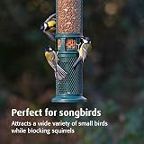 Jacobi Jayne Squirrel Buster Peanut Bird Feeder – 0.75L Capacity view 5