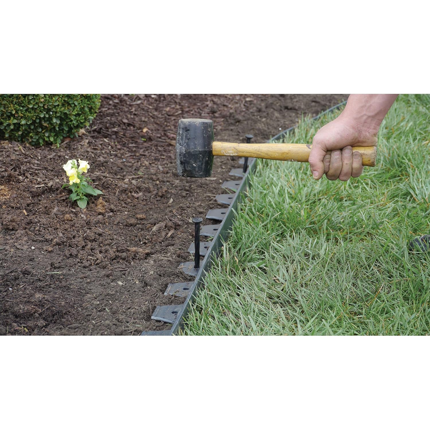 Best Vigoro Lawn Edging