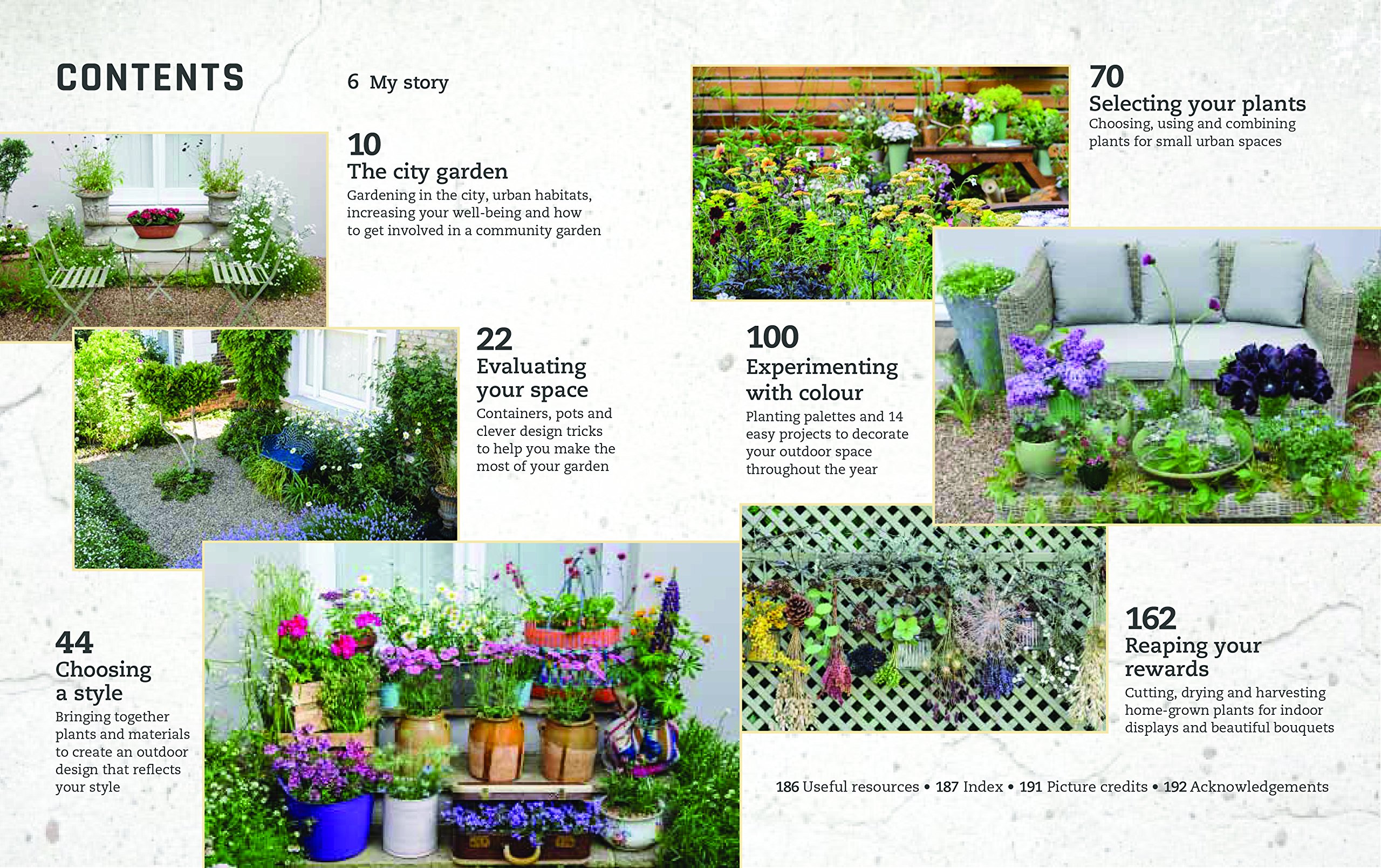 Urban Flowers Creating Abundance In A Small City Garden Amazonco