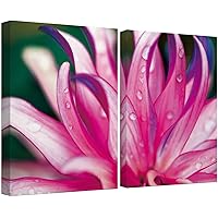 SIGNWIN Canvas Wall Art Bright Pink, Red and Magenta Flower Petals Botanical Plants Photography Minimalism Modern Closeup Colorful for Living Room, Bedroom, Office - 16