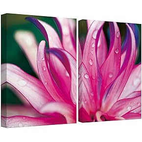 SIGNWIN Canvas Wall Art Bright Pink, Red and...