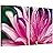SIGNWIN Canvas Wall Art Bright Pink, Red and Magenta Flower Petals Botanical Plants Photography Minimalism Modern Closeup Colorful for Living Room, Bedroom, Office - 16"x24" x 2 Panels