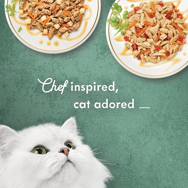 PURINA FANCY FEAST MEDLEYS LATIN AMERICA WET CAT FOOD VARIETY PACK – (PACK OF 2) 12 CT. CANS