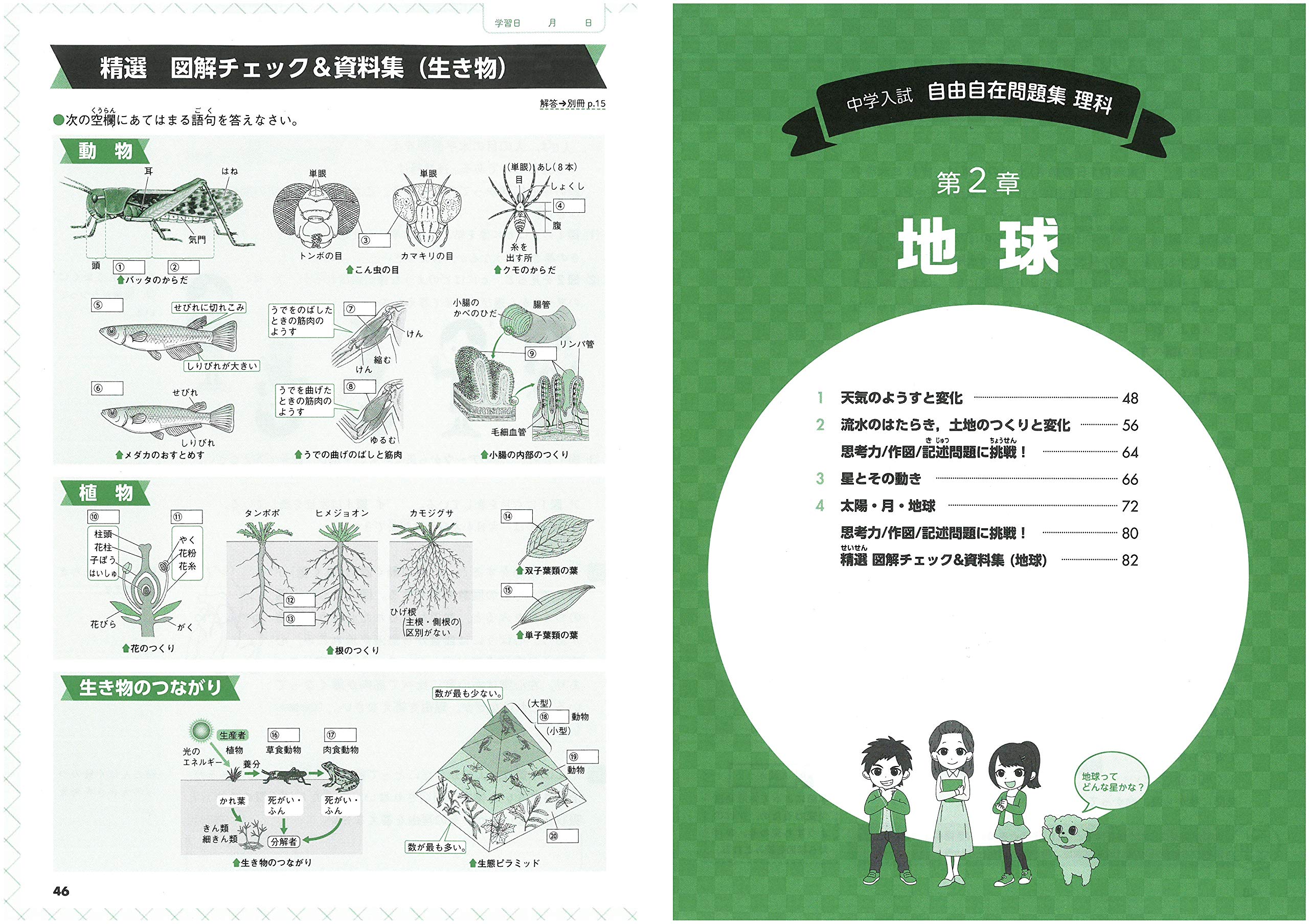 中学入試 自由自在問題集 理科 基礎から難関校受験まで 小学生 高学年 向け Amazon Com Books
