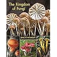 The Kingdom of Fungi