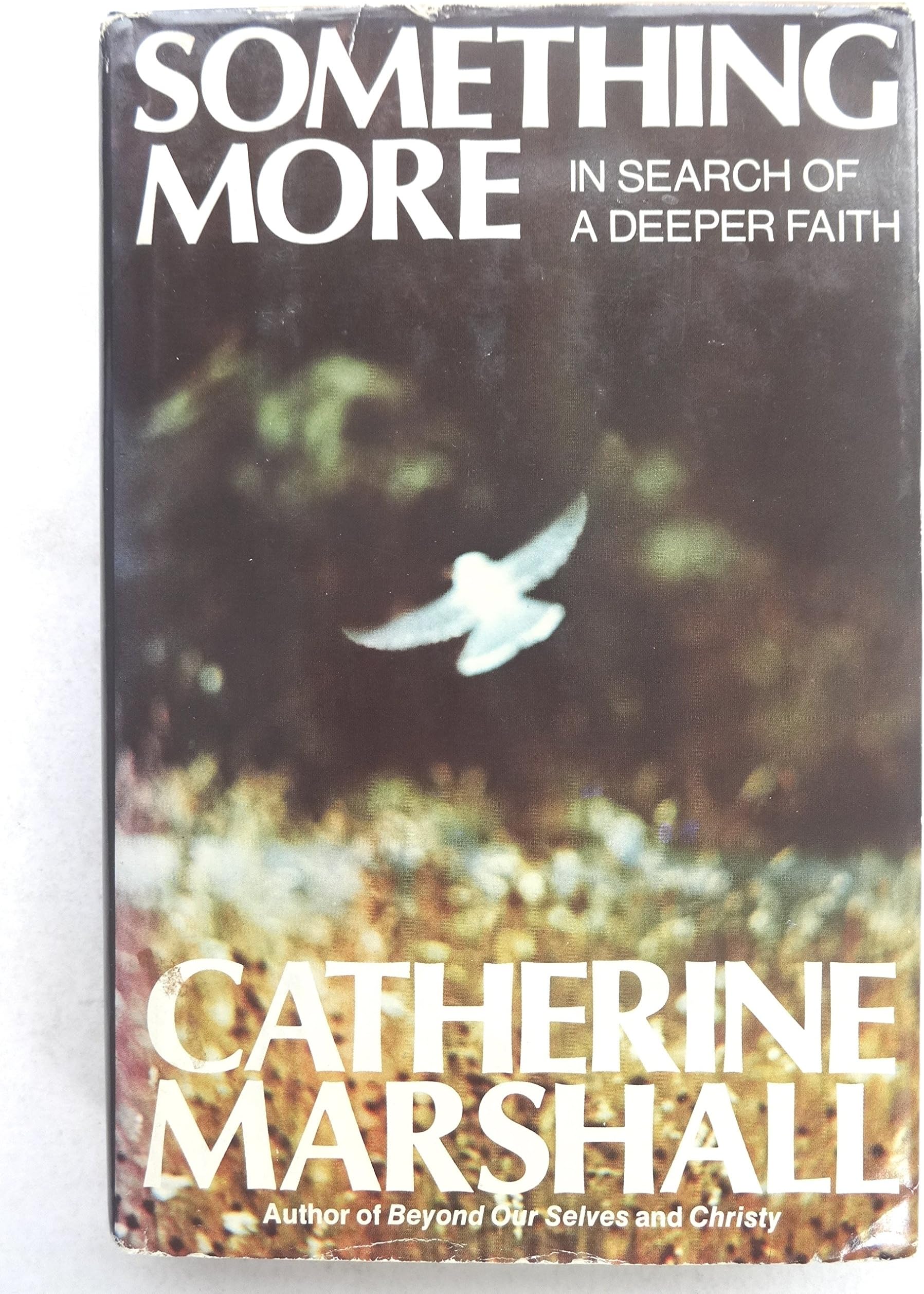 Something More: In Search of A Deeper Faith