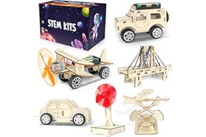 kortes 24Pack STEM Kits for Kids Classroom, Science Building Project Craft for Ages 8 9 10 11 12, 3D Wooden Model Kit, STEM Toys for Boys Girls Birthday Gifts Party Favors School Exchange Gifts