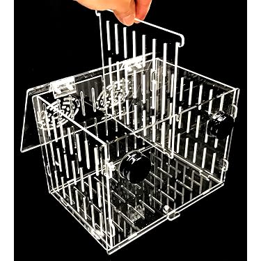 Amazon.com Gift Ideas: The most popular items ordered as gifts in Fish  Breeding Tanks