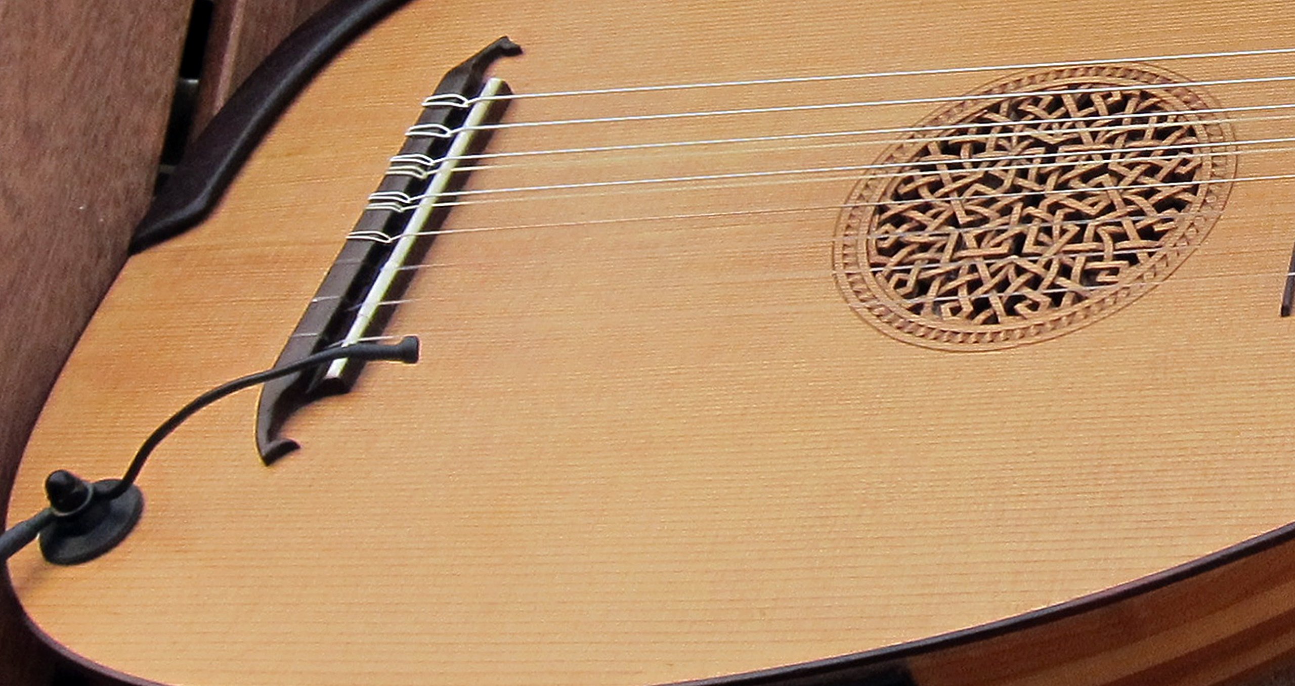 Myers Pickups The Feather Lute Pickup with Flexible Micro-Gooseneck