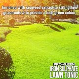 Pro-Kleen Lawn Tonic Liquid Iron Sulphate 5L - Grass Greener Fertiliser view 5
