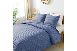 WDCOZY Blue Queen Size Quilt Bedding Sets with Pillow Shams, Lightweight Soft Bedspread Coverlet, Quilted Blanket Thin Comforter Bed Cover, All Season Summer Spring, 3 Pieces, 90x90 inches