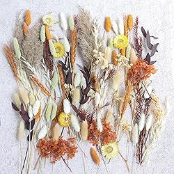DIY Dried Flower Set, Bulk Dried Flowers,Autumn