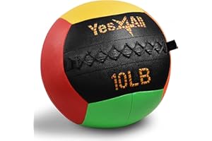Yes4All Wall Ball, Soft Leather Weighted Iron Sand Ball for Dynamic Multifunctional Exercise, 6 LB - 30 LB