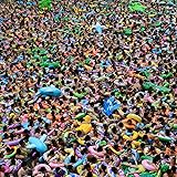 Giants of All Sizes [LP]