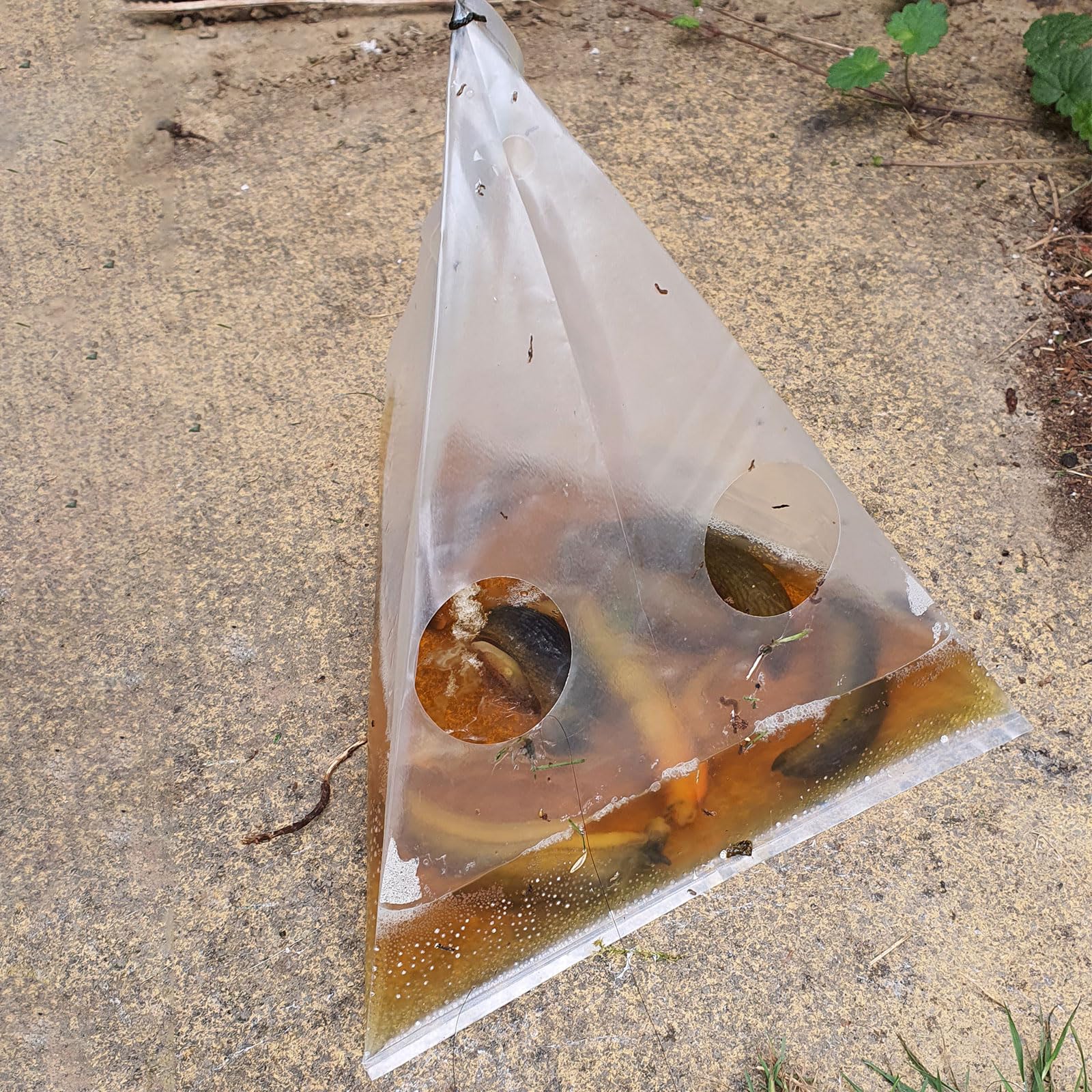 iwiio 20Pcs Slug Traps for Garden Nematodes for Slugs Beer Traps Slug Killer Disposable No Poison Pet and Child Safe Slug Pellets Alternative Beer Traps for Snails and Slugs