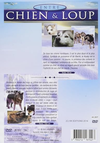 Amazoncom Entre Chien Loup Le Husky Sibérien Le Loup