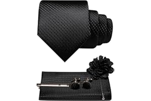 JEMYGINS Mens Tie and Pocket Square,Lapel Pin,Cufflinks,Tie Clip Sets with Gift Box 5PCS