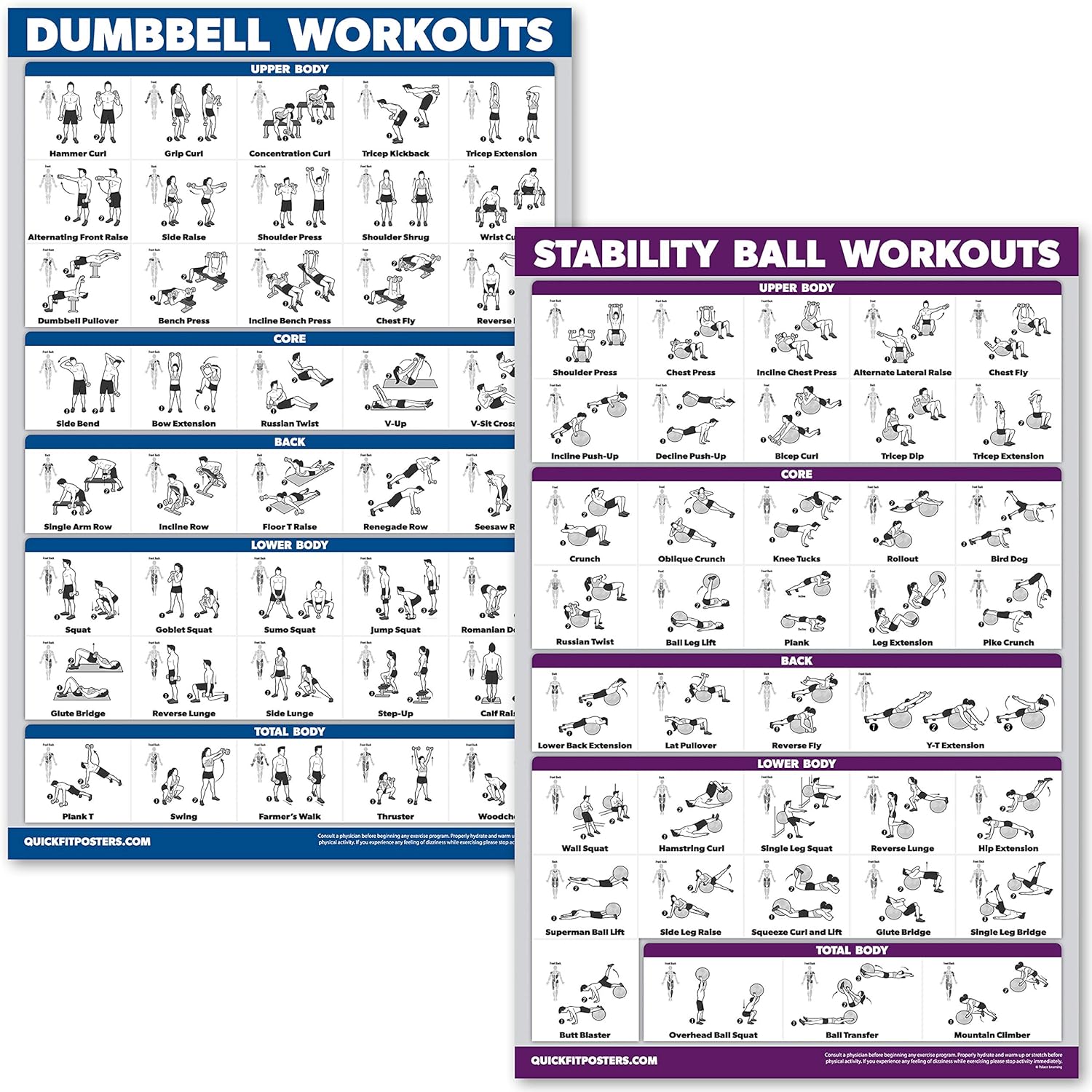 Amazon QuickFit Dumbbell Workouts And Exercise Ball Poster Set