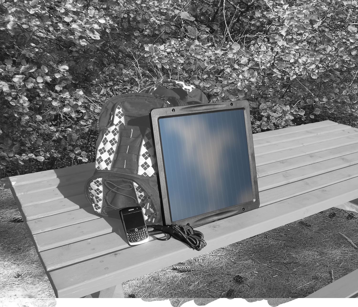 91U0Uz3XhCL._SL1500_.jpg