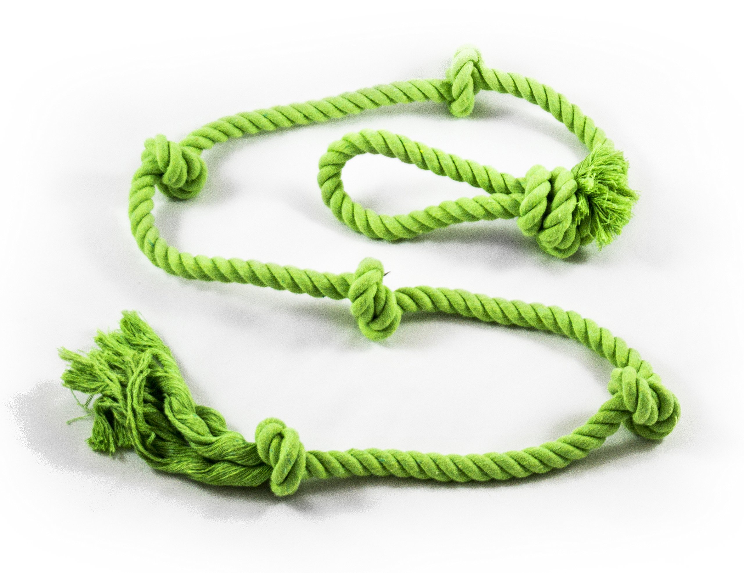 Tumbo's Solo Slinger outdoor tough hanging 50 ft zipline dog toy (uses bungee eBay