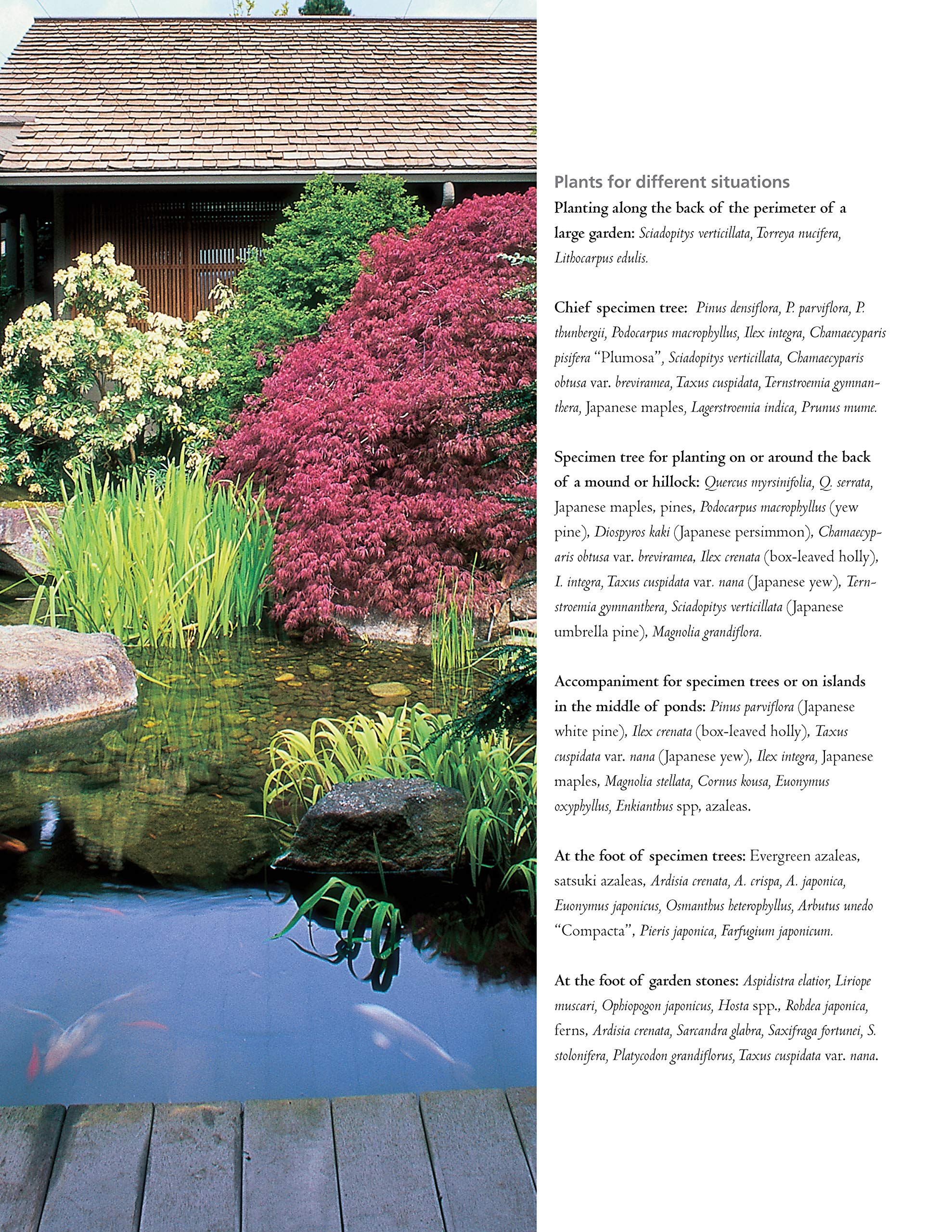Authentic Japanese Gardens: Creating Japanese Design and Detail in the Western Garden (IMM Lifestyle Books) Traditional Elements, Layout, a Plant Directory of Trees, Shrubs, Bamboo, Flowers, and More