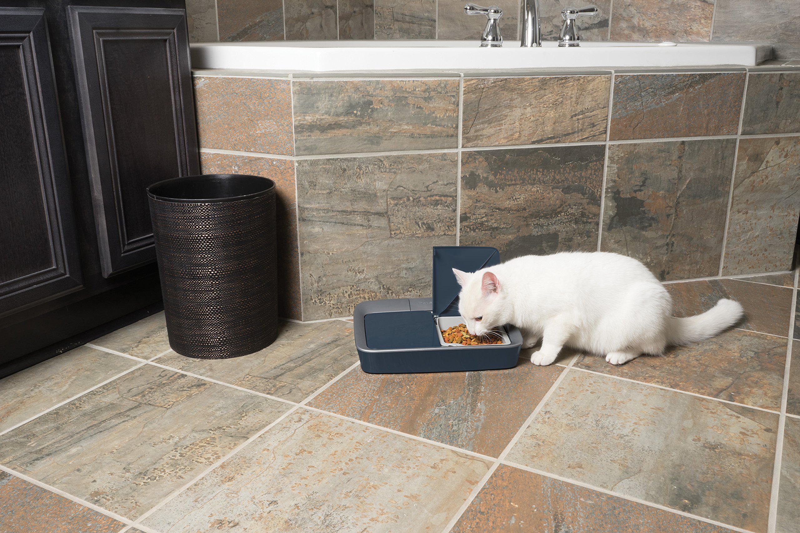 Digital 2 Meal Programmable Pet Feeder, Automatic Dog and Cat Feeder - Dry or Semi-Moist Pet Food Dispenser, Slow Feed Portion Control (3 Cup/16 Ounce), Tamper-Resistant, Dishwasher Safe