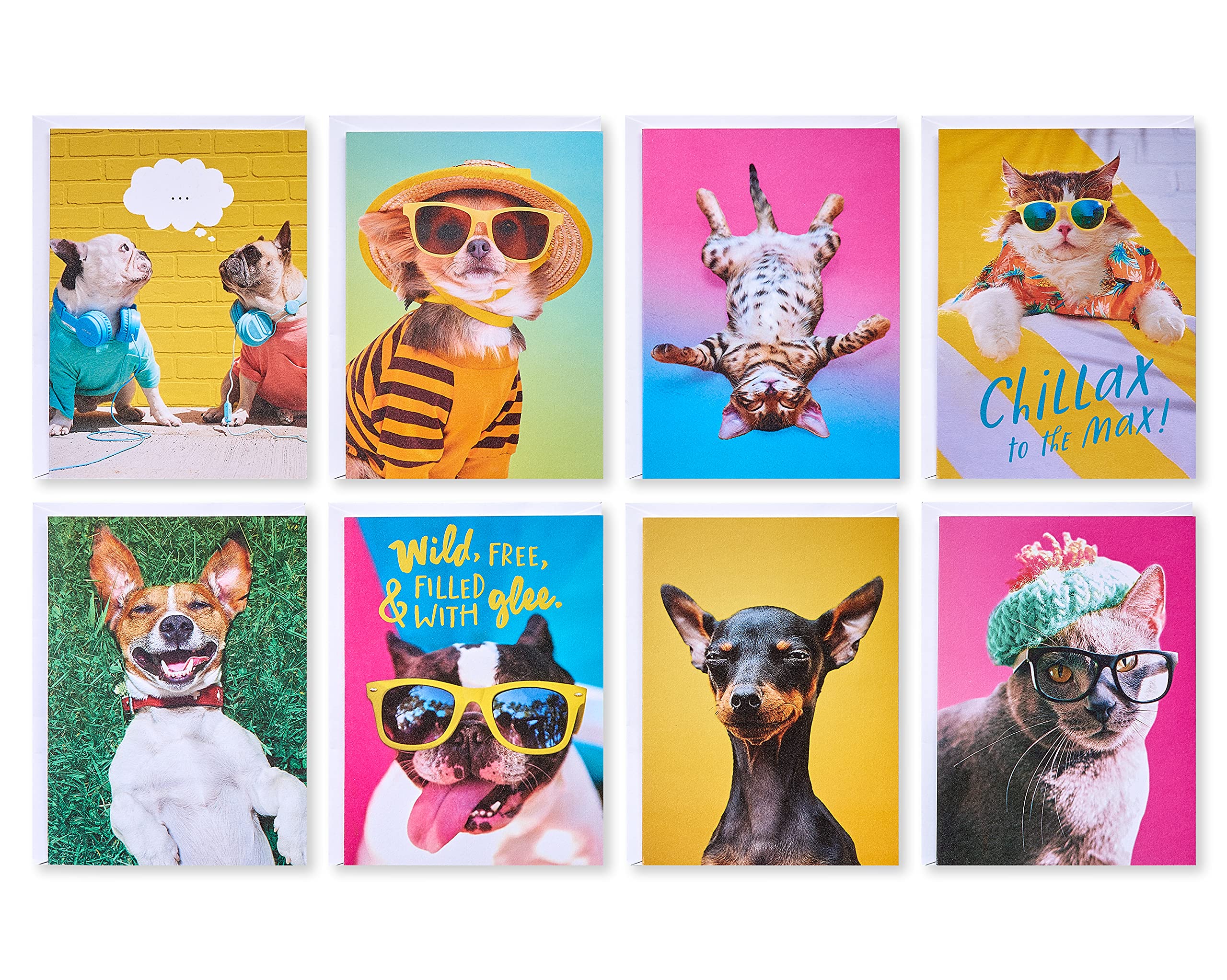 American Greetings Funny Blank Cards with Envelopes for All Occasions, Dogs & Cats (48-Count)