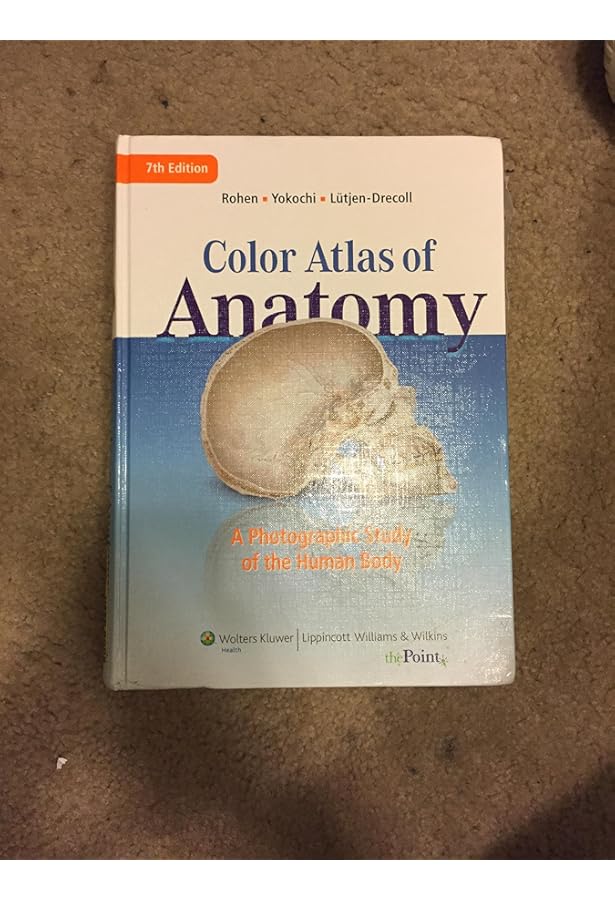 健康・医学 ATLAS OF HUMAN ANATOMY 6th EDITION 51L1TizxlTL._AC_UF350,