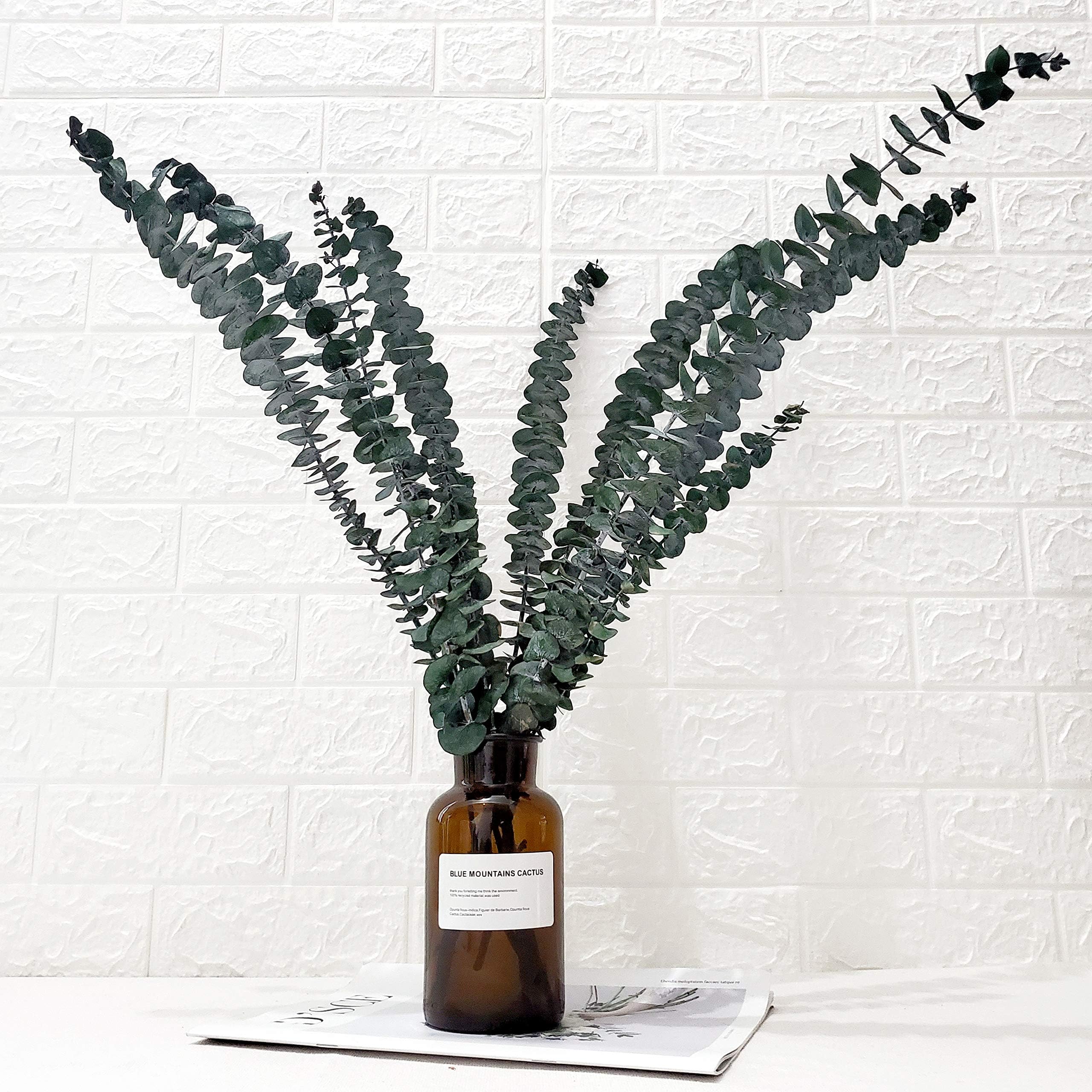 Preserved Fresh Eucalyptus Branches 10Pcs, Dried Eucalyptus Stems for Flower Arrangements Wedding Home Decor