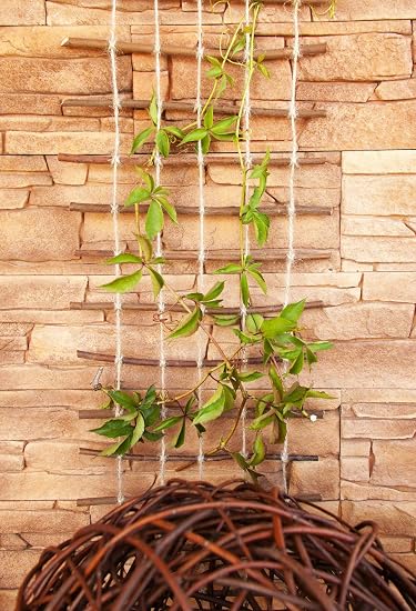 Floranica® Pérgola, Enrejado de Sauce impregnada y Cuerda de Yute ...