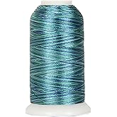 Amazon.com: Threadart Variegated Polyester Embroidery Thread - 40wt ...