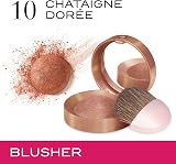 Bourjois Little Round Pot Blusher Chataigne Doree 10 view 2